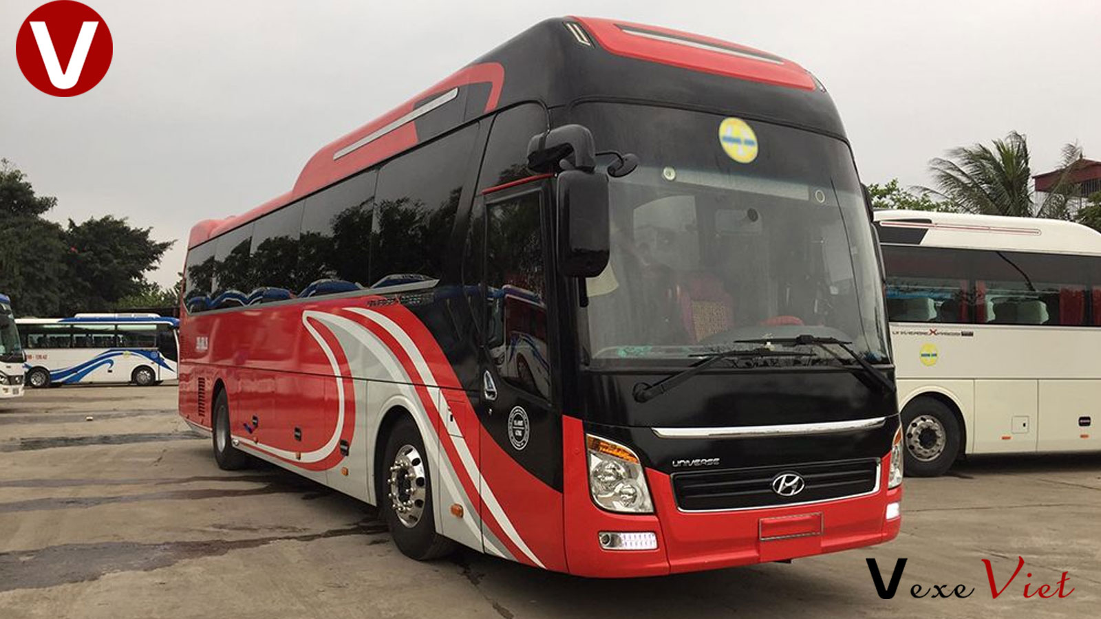 Cho Thuê Xe 45 Chỗ Đi Tam Đảo Từ Đông Anh Hà Nội Giá Rẻ