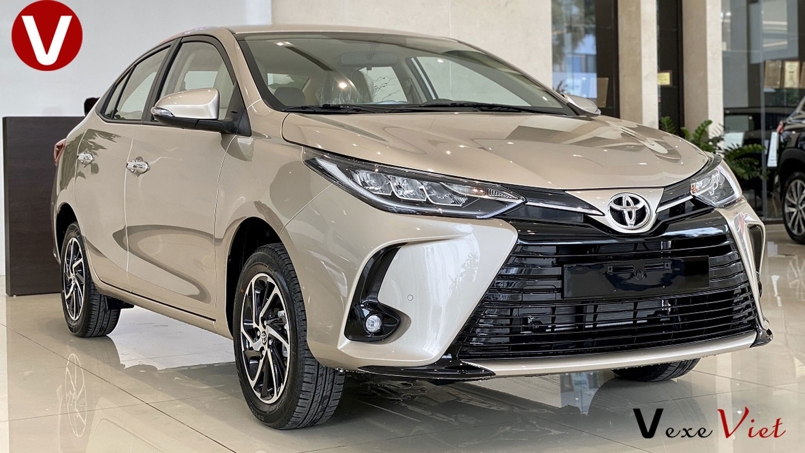 Cho Thuê Xe 4 Chỗ Đi Tam Đảo Từ Đông Anh Hà Nội Giá Rẻ